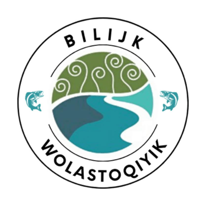 bilijk logo