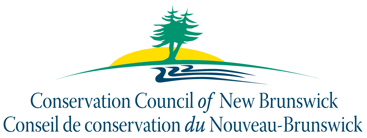ccnb logo (1)