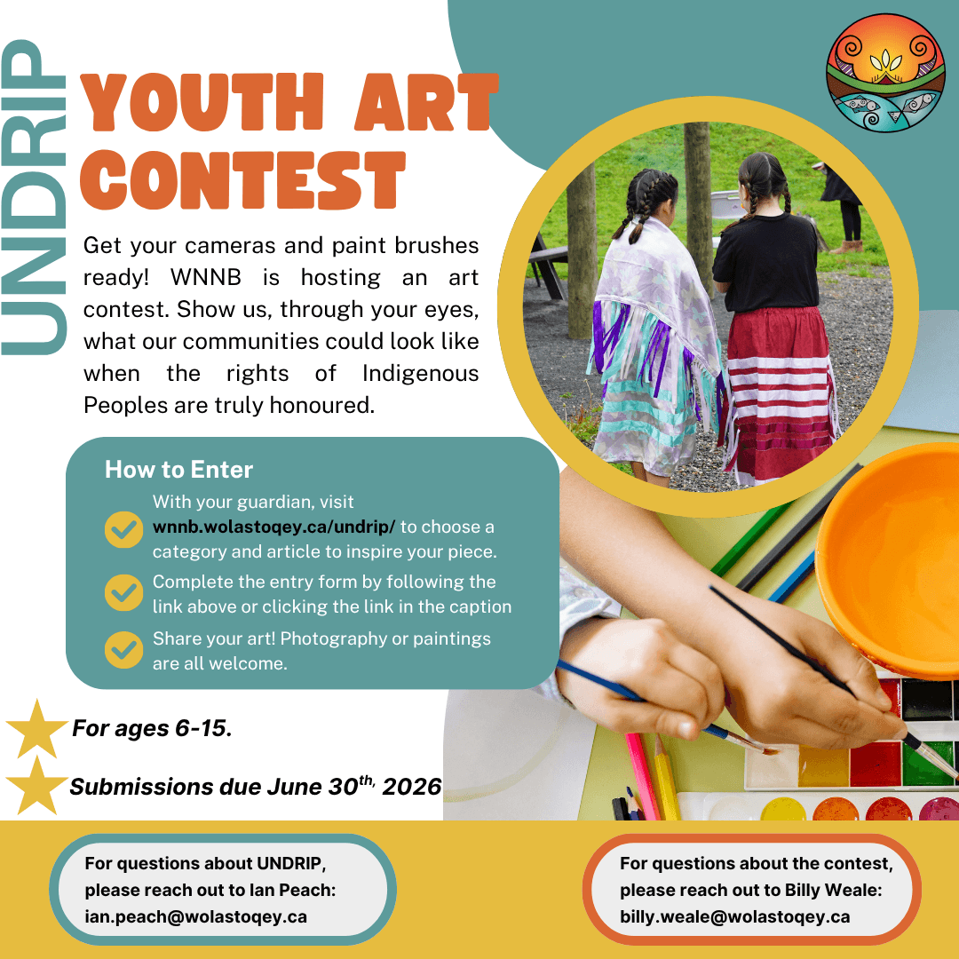 undrip youth art contest